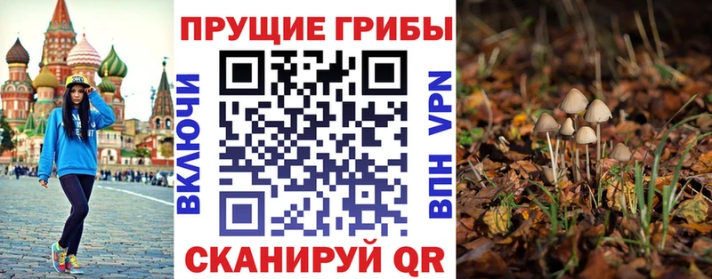 Купить закладки  Онега  Псилоцибиновые грибы GOLDEN TEACHER 