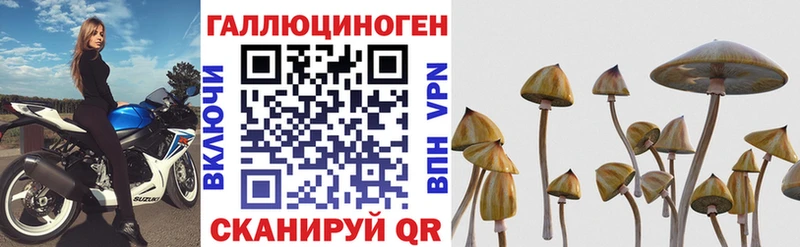 Галлюциногенные грибы Cubensis Онега